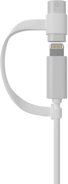 Cyoo Adapter Pencil Stift Lightning Apple + Strap